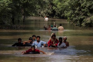 En los ltimos das, conforme el agua retrocede, han aparecido 43 nuevos cadveres en la Cachemira i