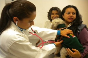 El hospital de Naucalpan dar� atenci�n gratuita; estar� listo a fines de este a�o.