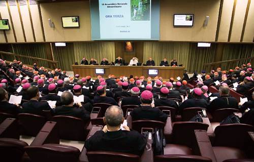El snodo an no decide sobre bodas gay, aclara el Vaticano