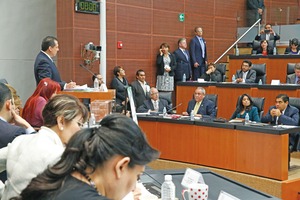 Buscan en el Senado terna consensuada para la CNDH
