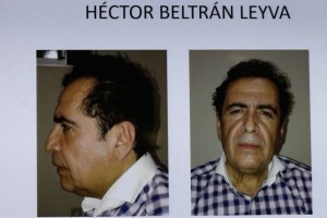 Se ejerci accin penal contra Beltrn Leyva por el ilcito de delincuencia organizada en su modalid