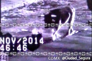 Env�an a toro capturado en Azcapotzalco a Chalco