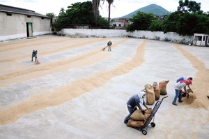 Arroz de Morelos, historia de un plagio Arroz de Morelos, historia de un plagio