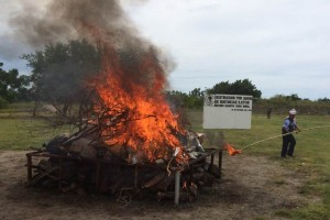 Los narc�ticos fueron destruidos en las instalaciones de XIV Zona Naval, en Puerto Chiapas del munic