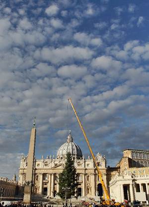 Colocan rbol de navidad gigante en Vaticano La tradicin de colocar un rbol de Navidad en la plaza de San Pedro comenz en 1982, durante el pon