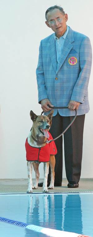 El monarca adopt� al perro, Tongdaeng, en 1998; era un perro callejero del cual el soberano siempre 
