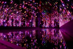 Obsesin infinita recibe 2 mil visitas diarias La exitosa muestra, que se presenta hasta el 18 de enero, ha causado gran inters lo que ha provocad