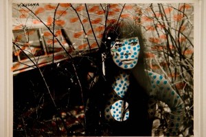 De acuerdo con información del Instituto Nacional de Bellas Artes, la exposición 