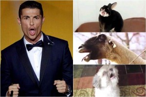 En Youtube no perdonaron el festejo de Cristiano Ronaldo. 