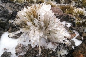 El d�a de ayer se present� en el Cofre de Perote un fen�meno conocido como 