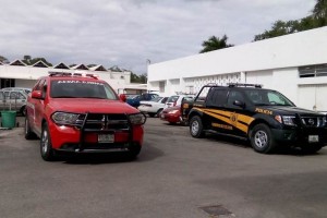 Abejas africanas atacan a alumnos en Yucatn Los hechos ocurrieron poco despus de las 10:00 horas, por lo que las unidades de la SSP arribaron a