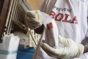 Guinea inaugura centro para combatir bola con ayuda rusa El centro se dedicar a la investigacin, el diagnstico, tratamiento y prevencin de enfermedades