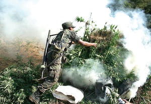 PRI-PVEM: revisar poltica antinarco PRI-PVEM: revisar poltica antinarco