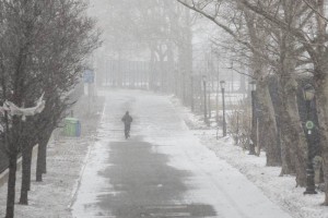 Servicios meteorol�gicos esperan que en Nueva York caigan entre 60 y 90 cent�metros de nieve