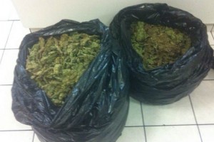 Los elementos de la SSPDF revisaron el contenido de las bolsas, en las que encontraron mariguana, pa