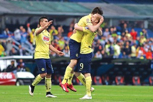 Am�rica no cree en la crisis felina