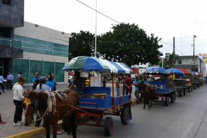 Piden esclarecer robo de 18 caballos en Tamaulipas Algunos de los carretoneros sealaron que en la colonia Adriana Gonzlez de Hernndez, del municipio