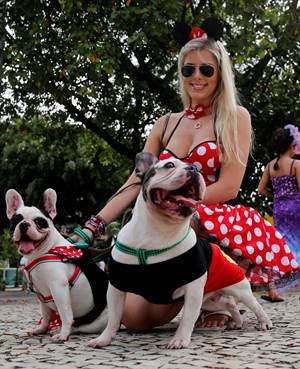 Perros 'bailan' y desfilan en el carnaval de Brasil El