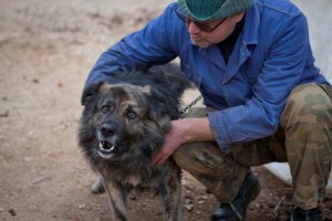 Medo ladra mientras su due�o trata de calmarlo, en Peroj, Croacia