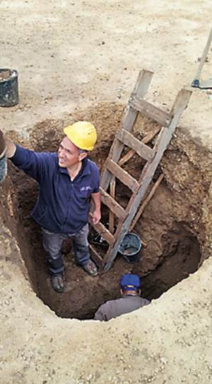 Egipcios beban cerveza antes que los alemanes Egipcios beban cerveza antes que los alemanes