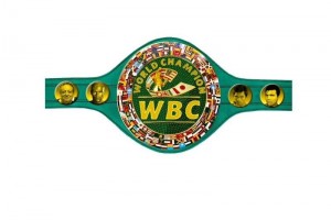 El dise�o esmeralda se impuso 53 por ciento en las votaciones, contra 47 del de �nix.