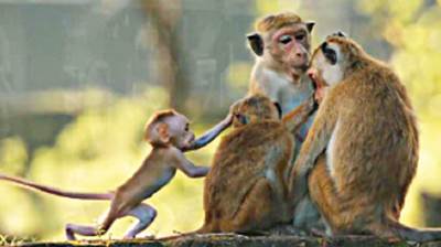 Quieren salvar al planeta con cine Quieren salvar al planeta con cine