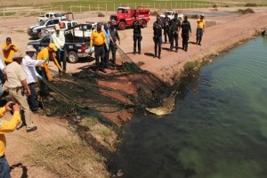 Un elemento de seguridad dispara al reptil, sin aparente causa justificada, varias descargas de un r