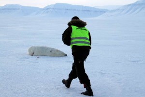 Matan a oso polar en Noruega tras ataque a turistas El hombre atacado, Jakub Moravec, dijo a los medios locales que tiene algunos rasguos en la cara, u