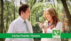 Tiran TEPJF e INE la propaganda al PVEM