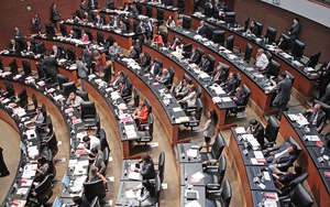 Hoy aprueba el Senado nueva Ley de Transparencia