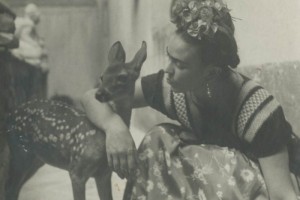 En Nueva York no cesa el furor por Frida Kahlo