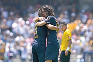 Felinos quieren <i>fiesta</i>