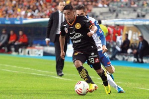 UdeG tiene la suerte del gato negro