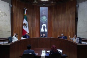 TEPJF avala modelo de boletas para el 7 de junio El Pleno consider que las boletas guardan la proporcionalidad visual de los emblemas de los partido