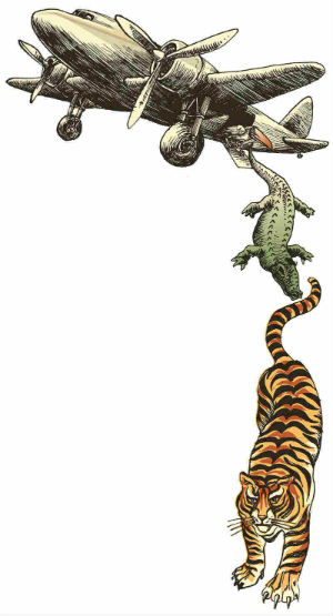 �D�nde comprar un tigre de Bengala?