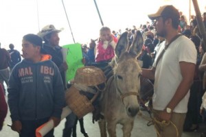 Rinden homenaje a La India Mara en la Feria del burro La India Mara muri el 1 de mayo, justo el da en que desde hace medio siglo se efecta en Otumba l