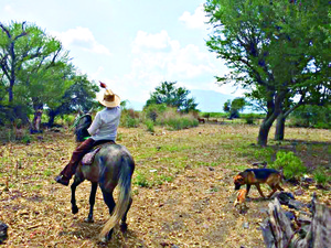 El helic�ptero les dio a todos, afirma testigo